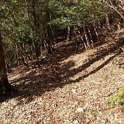 今は使われなくなった登山道