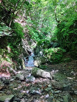 岩魚の住む源流