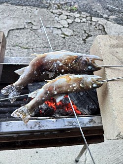 岩魚の塩焼き